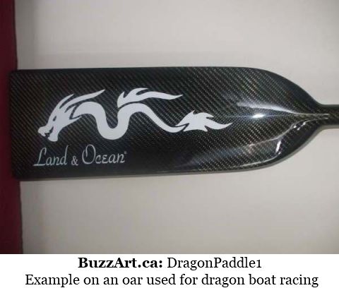 Example on an oar used for dragon boat racing